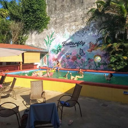 بويرتو إجوازو Butterfly Hostel المظهر الخارجي الصورة