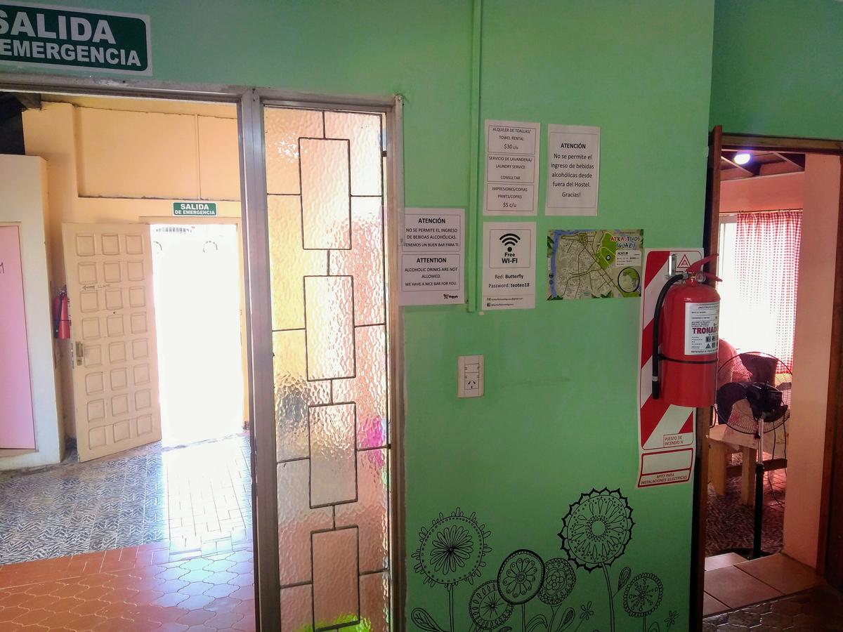 بويرتو إجوازو Butterfly Hostel المظهر الخارجي الصورة