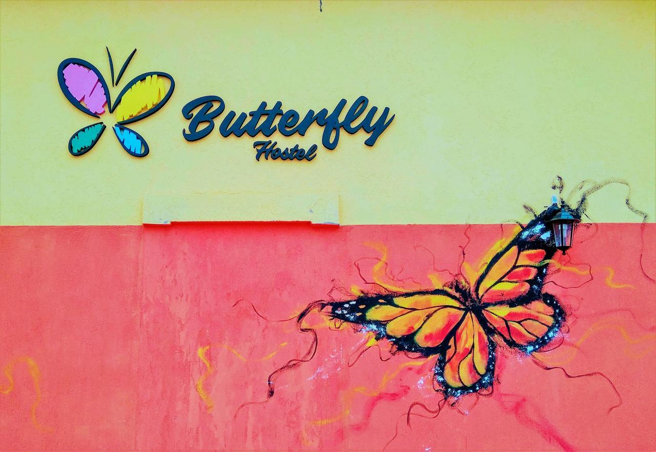 بويرتو إجوازو Butterfly Hostel المظهر الخارجي الصورة