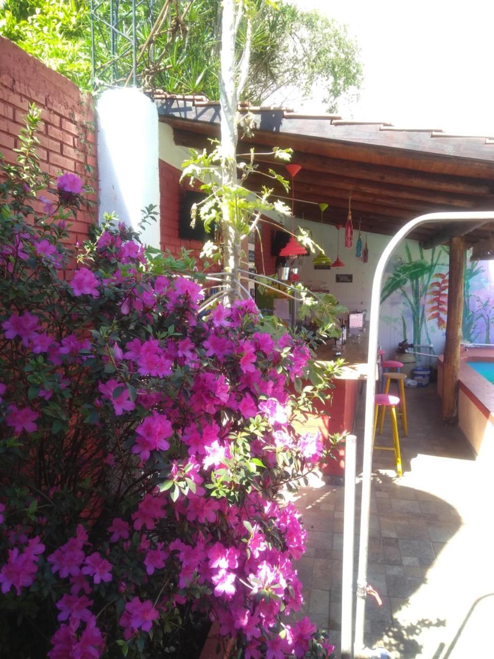 بويرتو إجوازو Butterfly Hostel المظهر الخارجي الصورة