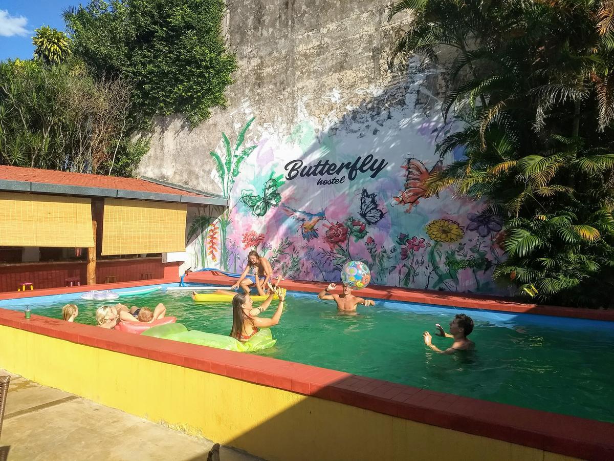 بويرتو إجوازو Butterfly Hostel المظهر الخارجي الصورة