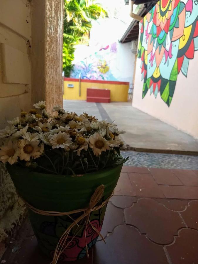 بويرتو إجوازو Butterfly Hostel المظهر الخارجي الصورة